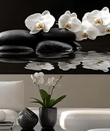 Zen Orchid Serenity
